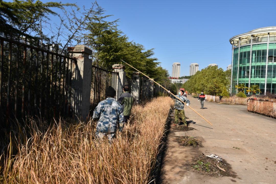 ���ŵ�����Ϸע����38�ʽ�