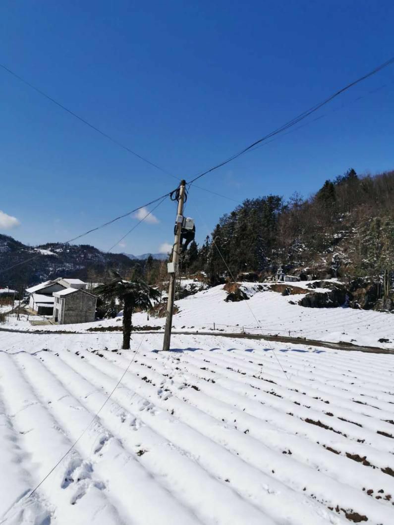 ���ŵ�����Ϸע����38�ʽ�