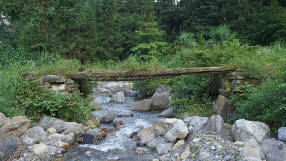 ���ŵ�����Ϸע����38�ʽ�