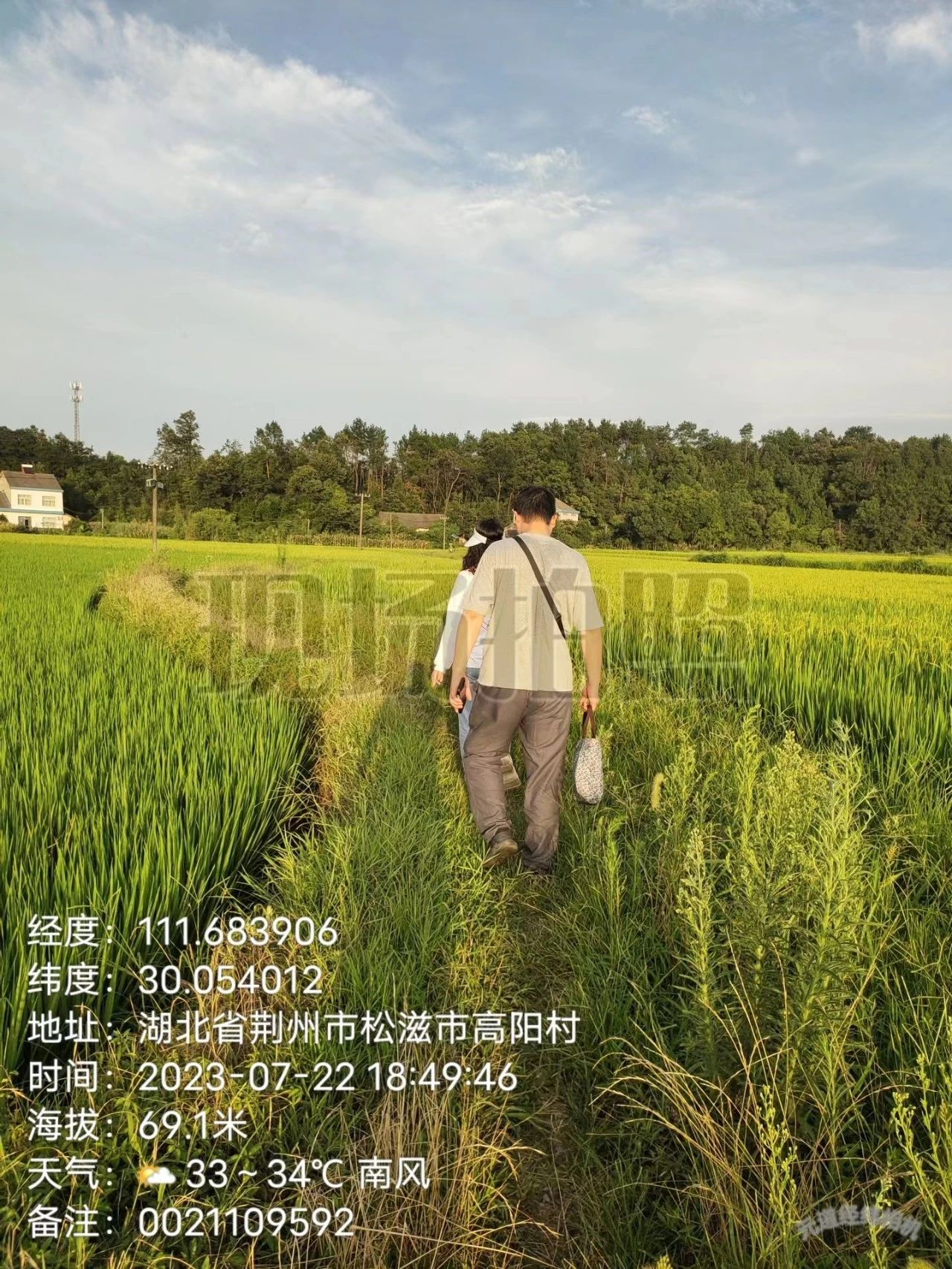 ���ŵ�����Ϸע����38�ʽ�